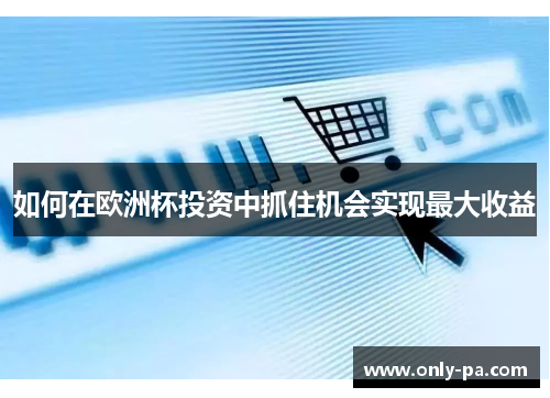 如何在欧洲杯投资中抓住机会实现最大收益 如何在欧洲杯投资中抓住机会实现最大收益