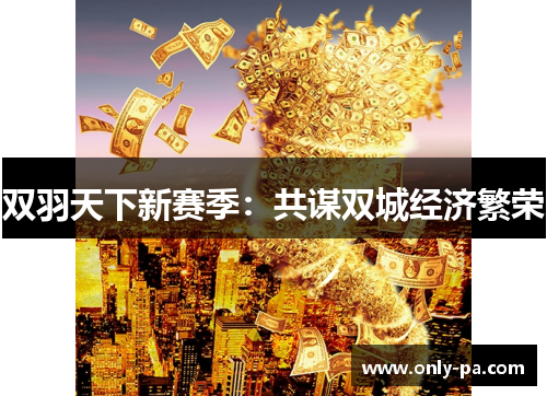 双羽天下新赛季：共谋双城经济繁荣