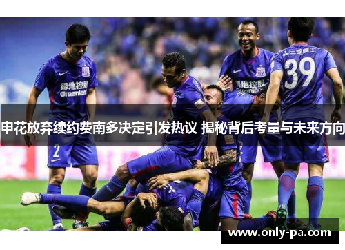 申花放弃续约费南多决定引发热议 揭秘背后考量与未来方向