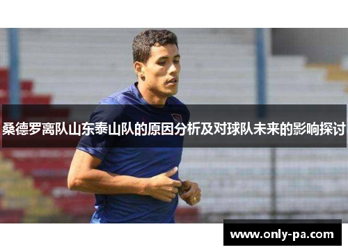 桑德罗离队山东泰山队的原因分析及对球队未来的影响探讨
