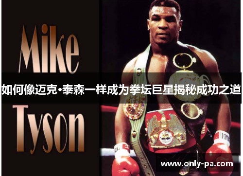 如何像迈克·泰森一样成为拳坛巨星揭秘成功之道