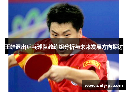 王皓退出乒乓球队教练组分析与未来发展方向探讨