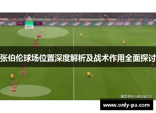 张伯伦球场位置深度解析及战术作用全面探讨