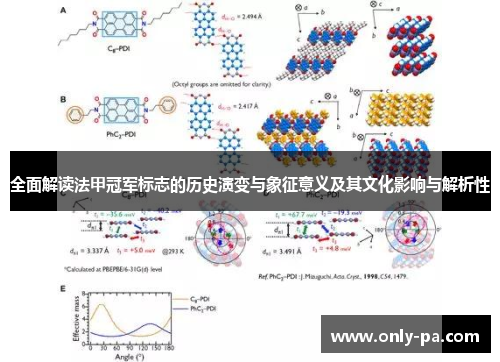 全面解读法甲冠军标志的历史演变与象征意义及其文化影响与解析性