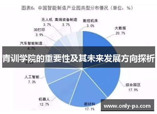 青训学院的重要性及其未来发展方向探析