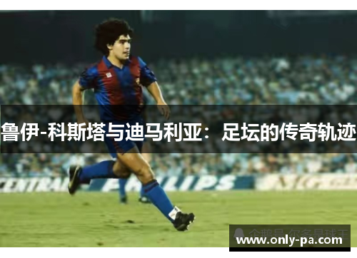 鲁伊-科斯塔与迪马利亚：足坛的传奇轨迹