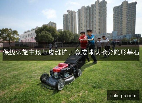 保级弱旅主场草皮维护，竟成球队抢分隐形基石